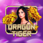 Dragon Tiger okada play live casino